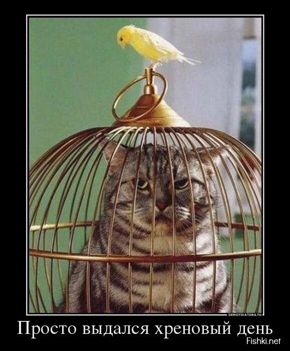 Смешной демотиватор от zubrilov за 02.08.2013 №163843