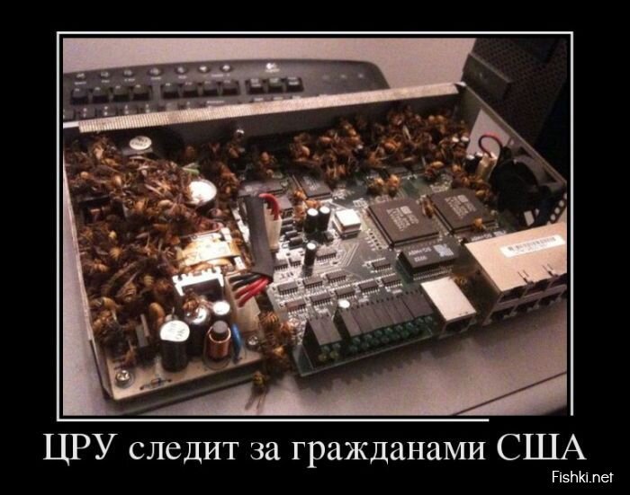 Смешной демотиватор от zubrilov за 02.08.2013 №163849