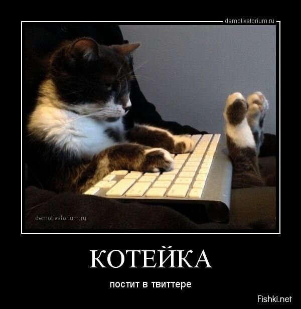 Смешной демотиватор от zubrilov за 02.08.2013 №163855