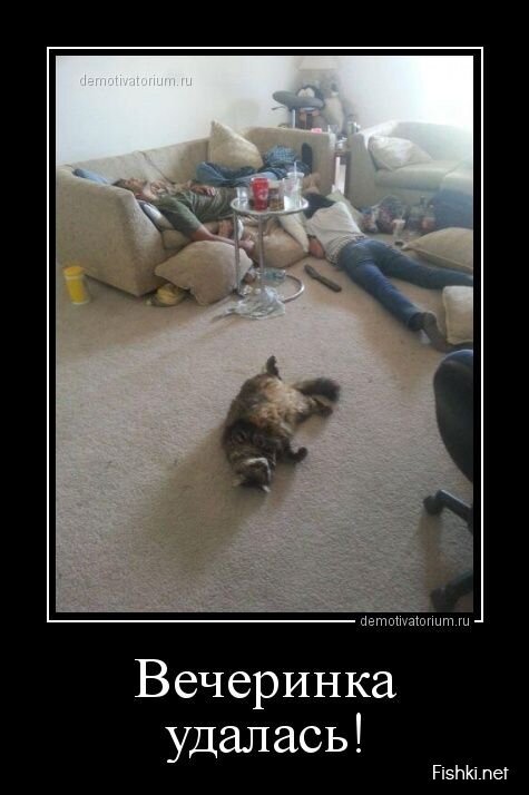 Демотиваторы, часть 409