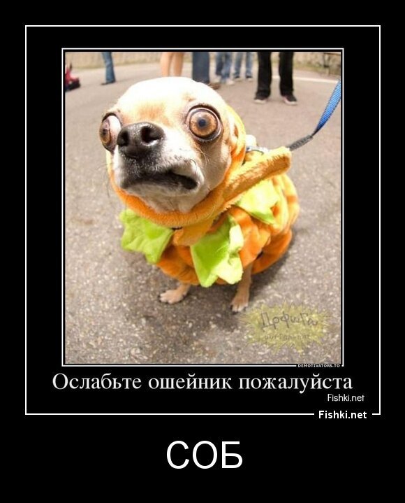 Соб