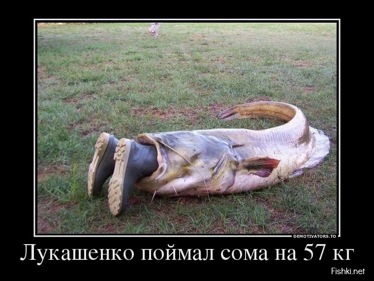 Смешной демотиватор от zubrilov за 05.08.2013 №164016