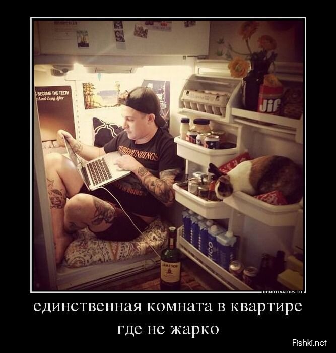 Демотиваторы, часть 410