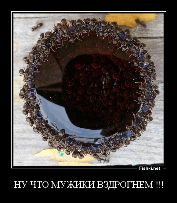 НУ ЧТО МУЖИКИ ВЗДРОГНЕМ !!!