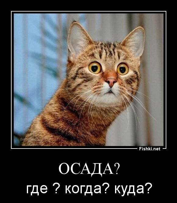 ОСАДА?