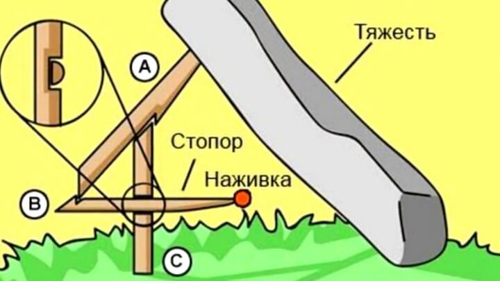 План был не выполнен лесник недоумевал