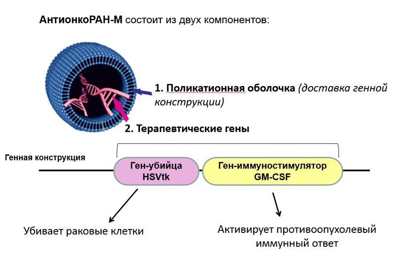 Неужели найдено лекарство от рака?