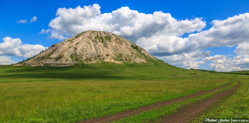 Виски с СОДовой для Дамира Гарифуллина!