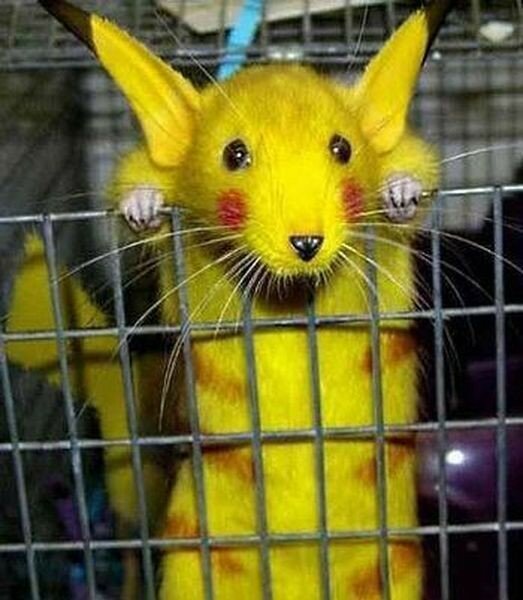 Может закончим с Покемонами?