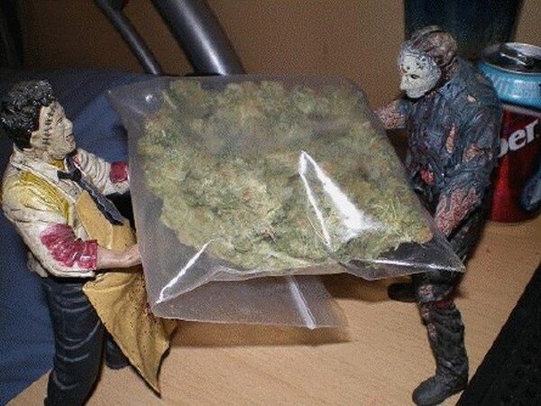 Сценка про траву (17 фото)