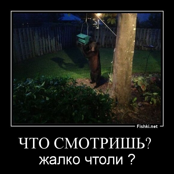 Что смотришь? 