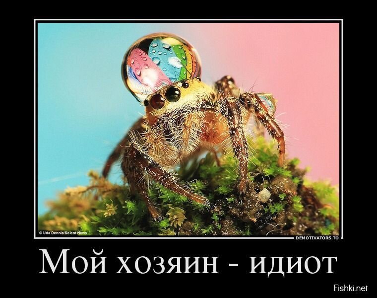 Смешной демотиватор от zubrilov за 07.08.2013 №211085