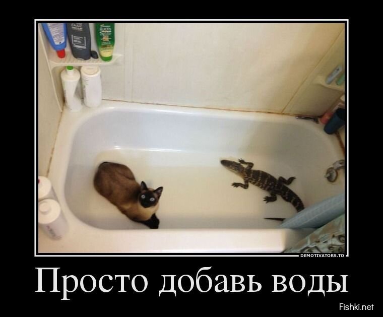 Смешной демотиватор от zubrilov за 07.08.2013 №211113