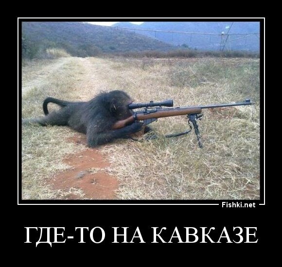 Где-то на Кавказе