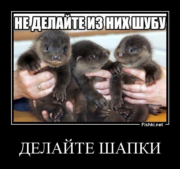 делайте шапки