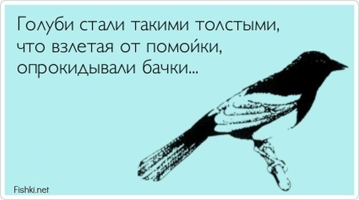 Прикольные открытки, часть 211244