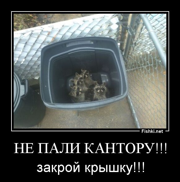 Не пали кантору!!!