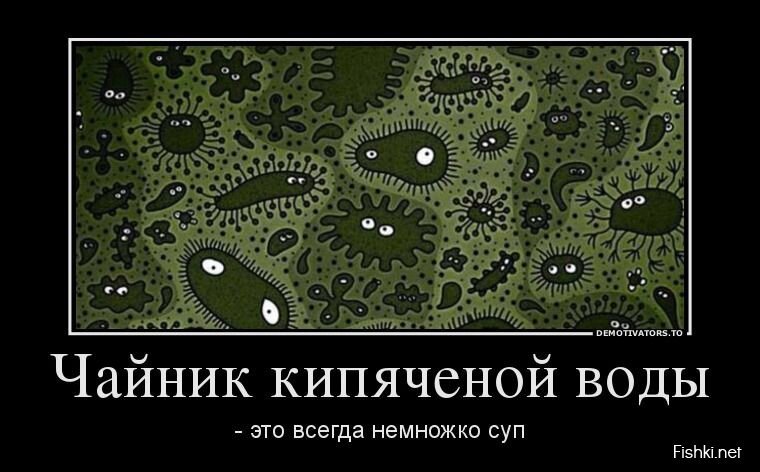 Смешной демотиватор от zubrilov за 09.08.2013 №211993