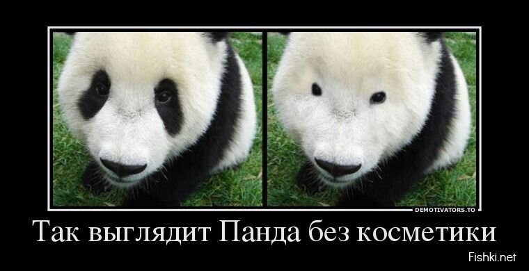 Смешной демотиватор от zubrilov за 09.08.2013 №211999