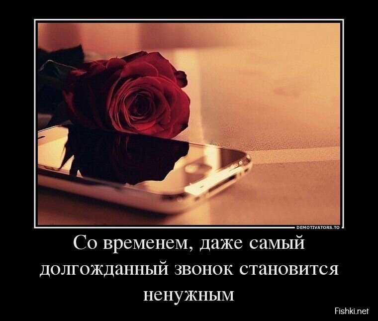 Смешной демотиватор от zubrilov за 09.08.2013 №212001