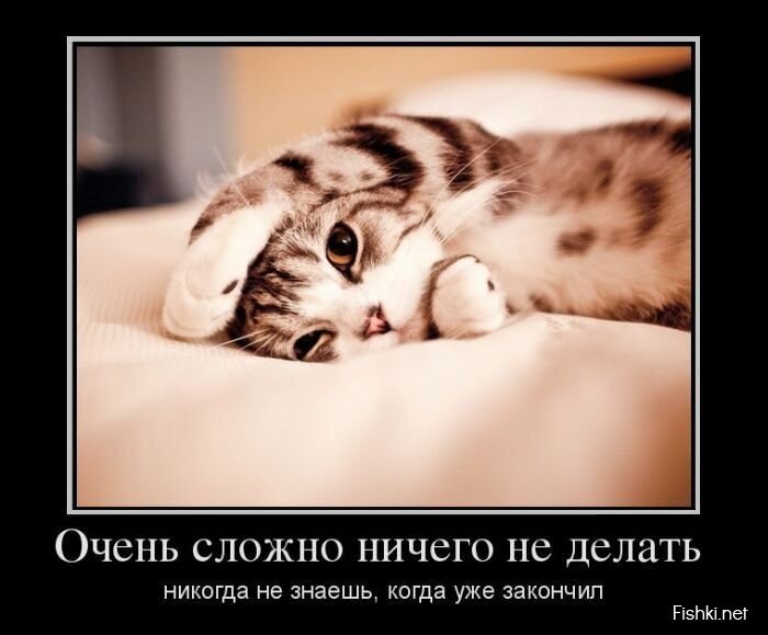 Демотиваторы, часть 412.