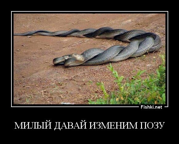 Милый Давай изменим позу