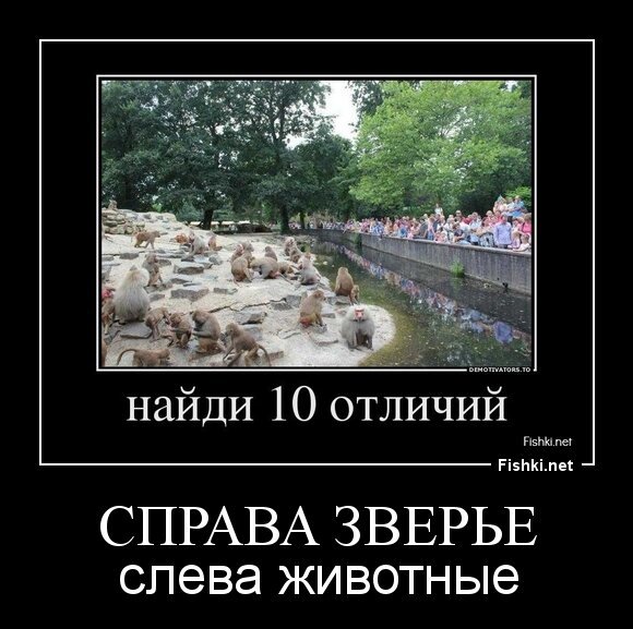 Справа зверье