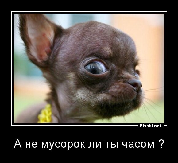 А не мусорок ли ты часом ?