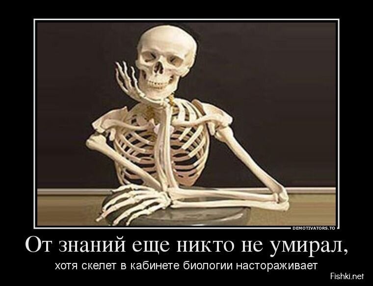 Смешной демотиватор от zubrilov за 12.08.2013 №212187
