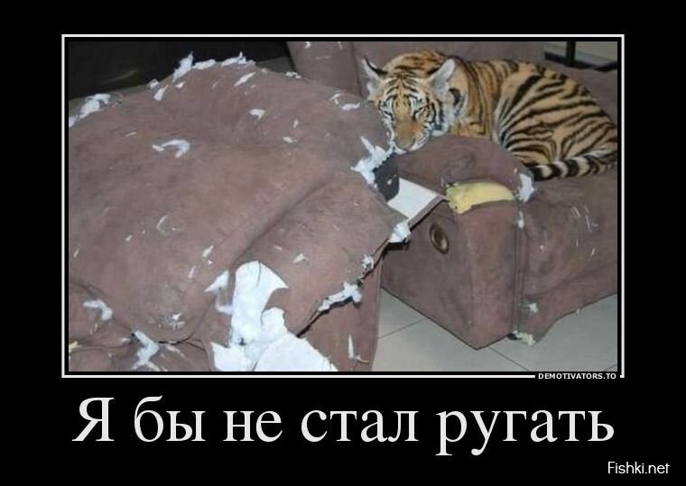 Смешной демотиватор от zubrilov за 12.08.2013 №212190