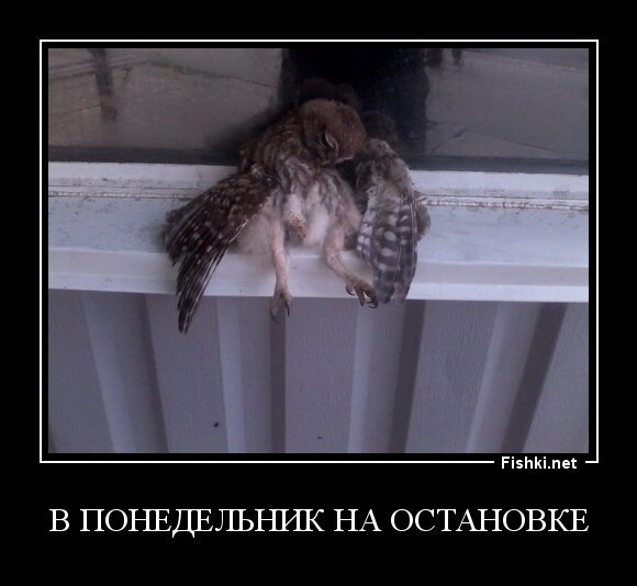 в понедельник на остановке