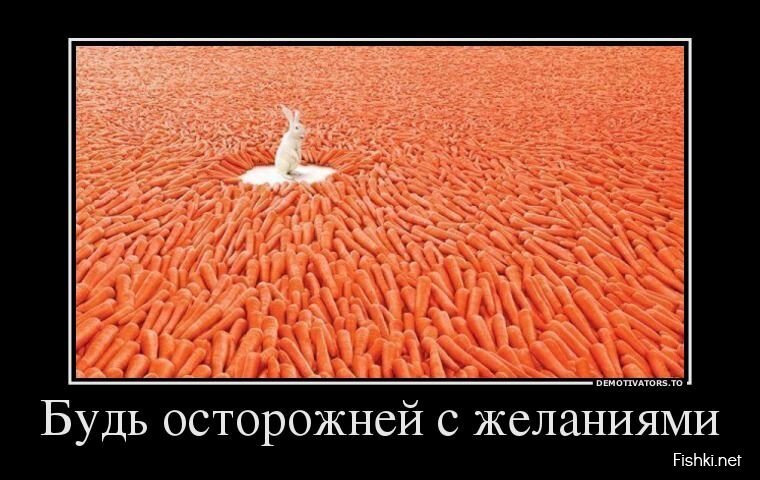 Смешной демотиватор от zubrilov за 14.08.2013 №212642