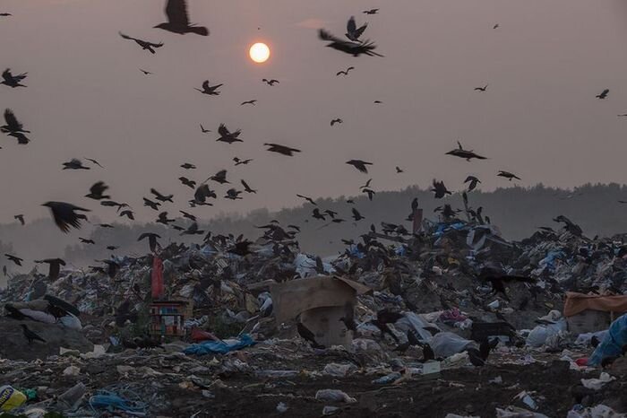 Крупнейшая в Новосибирске мусорная свалка (20 фото)
