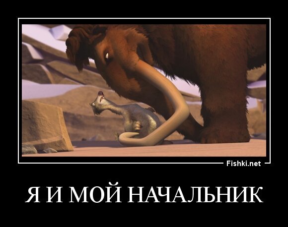 я и мой начальник