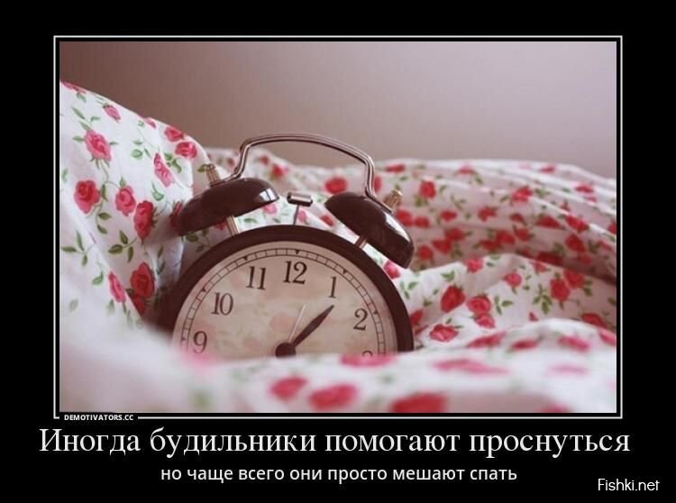 Смешной демотиватор от zubrilov за 16.08.2013 №213101
