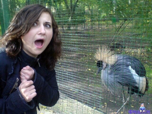  Прислал Андрей Дузяк