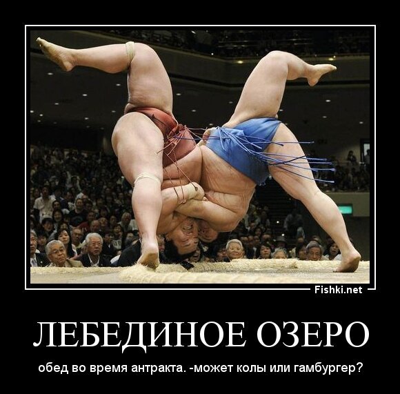 лебединое озеро