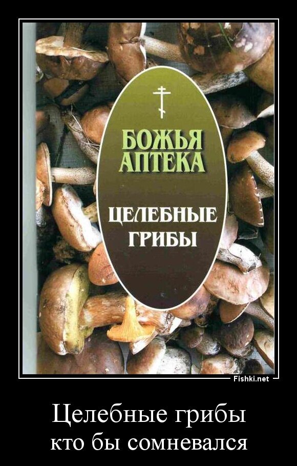 Целебные грибы