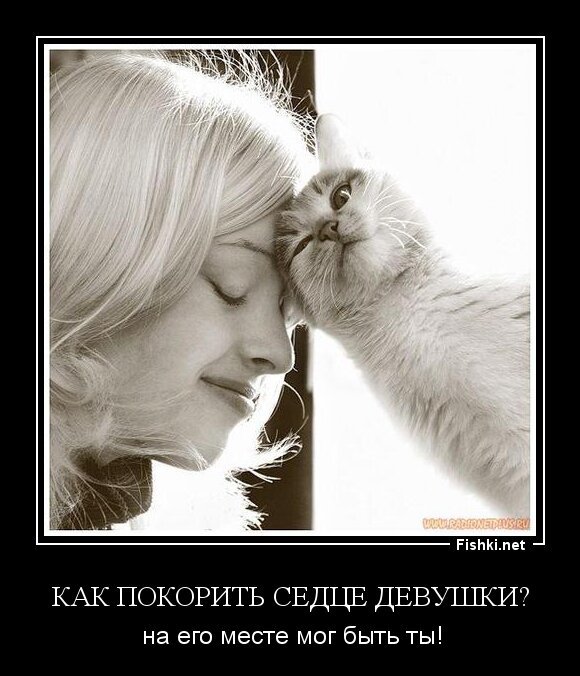 Как покорить седце девушки?