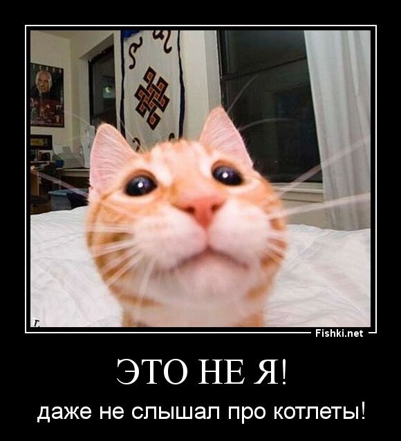 Это не я!
