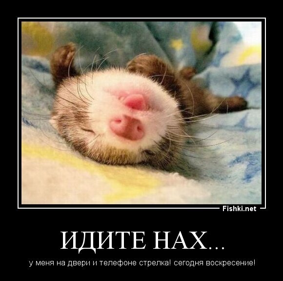 Идите нах...