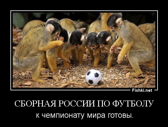 Сборная России по футболу