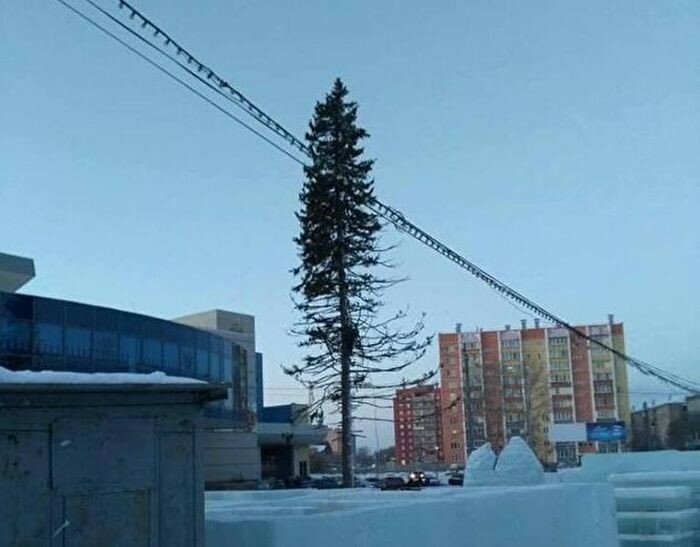 Жителей Копейска возмутила лысая елка на центральной площади города