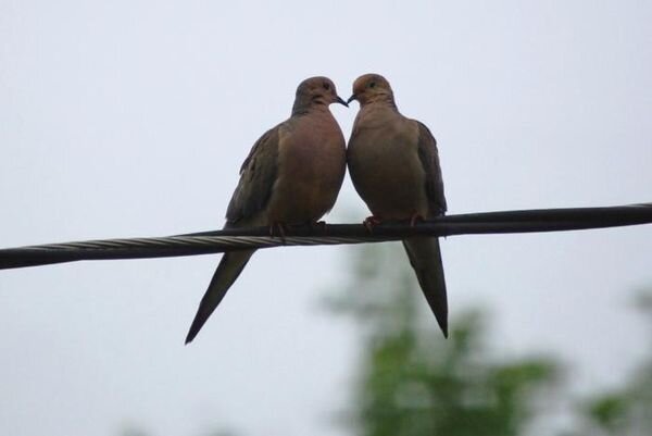 Любовь... (3 фото)