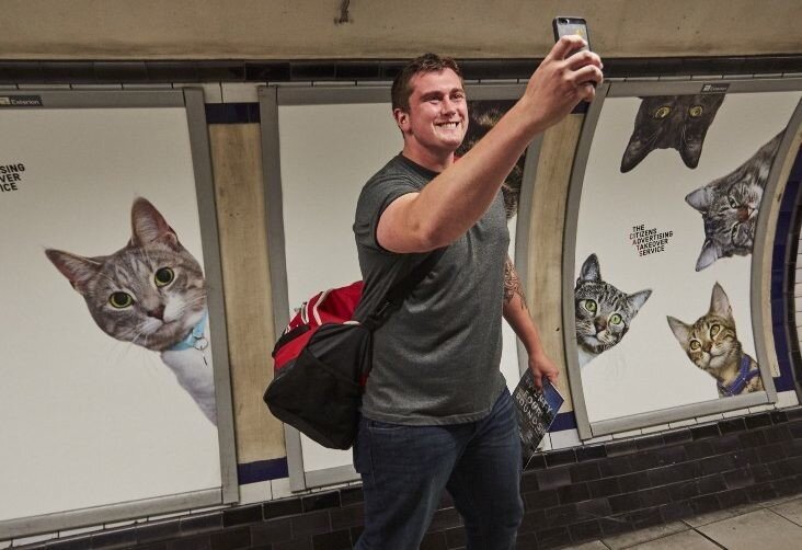 В Британии появилась необычная реклама в метро, на которой одни только кошки!