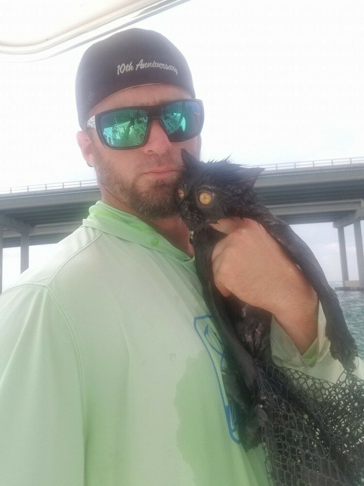 Во флориде капитан яхты спас тонущего кота