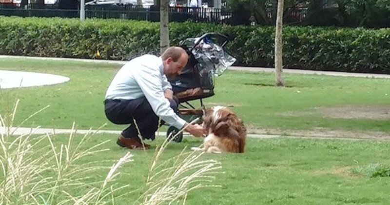 Фотография этого мужчины и его пса затронула сердца миллионов людей