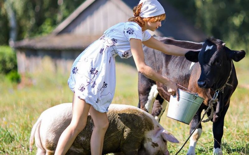 Dnevniki Klerka S Chego Ofigevayut Svezhenaznachennye