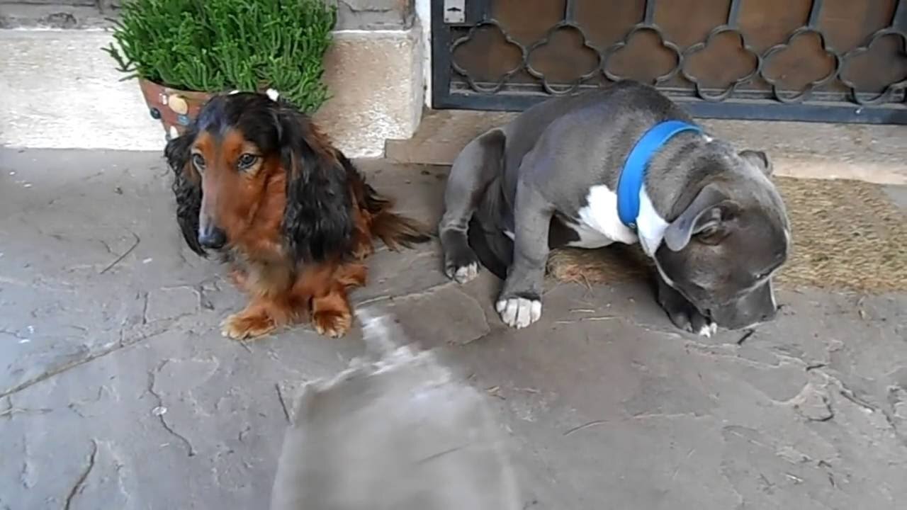 Результаты исследования