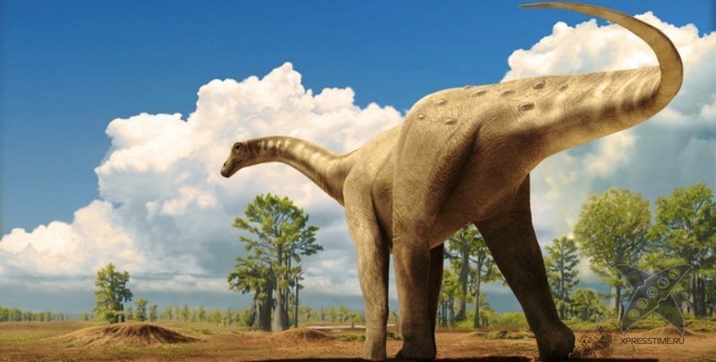 Россия оказалась родиной титанозавров